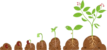 Your Garden